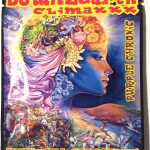 Down 2 Earth Purple Chronic Herbal Incense 10g - K2 Infused Paper - K2 Infused Paper For Sale